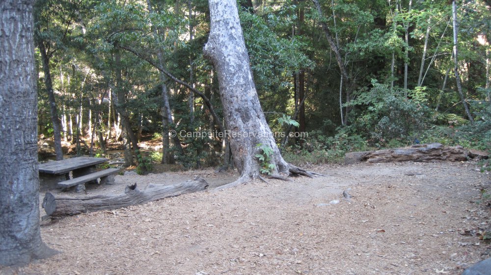 Photo of Campsite 171 in Weyland Campground at Pfeiffer Big Sur State